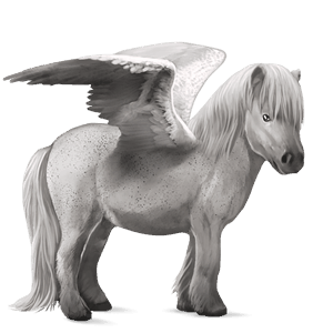 ponypegas shetlandský pony Černý hnědák