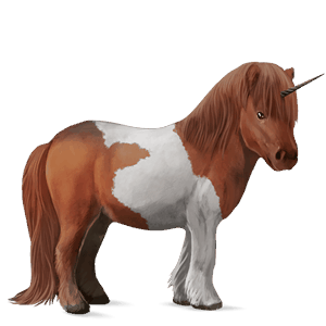 poníkorožec shetlandský pony ryzák tobiano