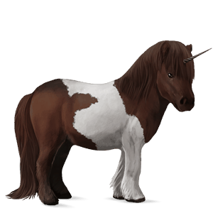 poníkorožec shetlandský pony Černý ryzák tobiano