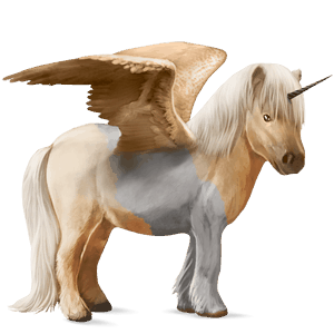 okřídlený poníkorožec  shetlandský pony tmavý hnědák