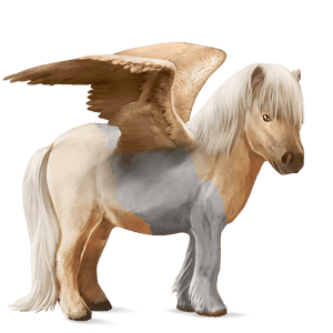 ponypegas velšský kůň hnědák