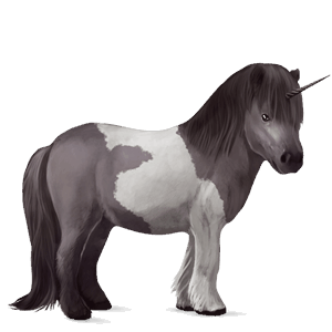 poníkorožec shetlandský pony Černý hnědák