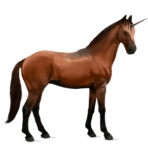 jezdecký jednorožec quarter horse Červený bělouš