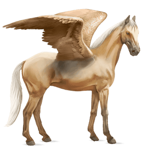 jezdecký pegas anglický plnokrevník palomino