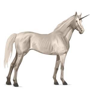 jezdecký jednorožec american paint horse palomino tovero