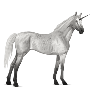jezdecký jednorožec quarter horse cremello