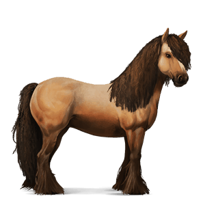 jezdecký kůň irský tinker tmavý hnědák tobiano