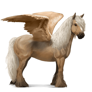 jezdecký pegas andaluský kůň palomino