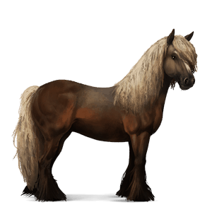 jezdecký kůň irský tinker palomino tobiano