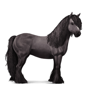 jezdecký kůň american paint horse ryzák tovero