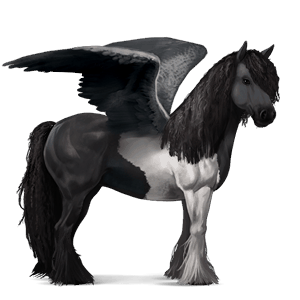 jezdecký pegas irský tinker palomino tobiano