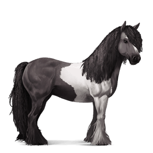 jezdecký kůň american paint horse myšák tobiano