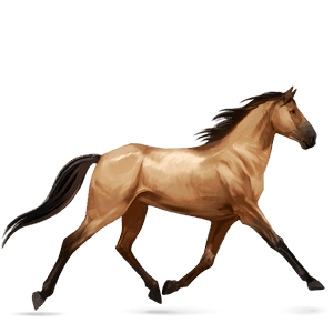 jezdecký kůň tennesseeský mimochodník plavák