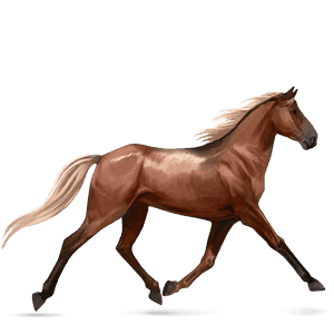 jezdecký kůň quarter horse ryzák