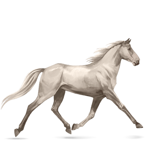 jezdecký kůň mangalarga marchador Červený bělouš