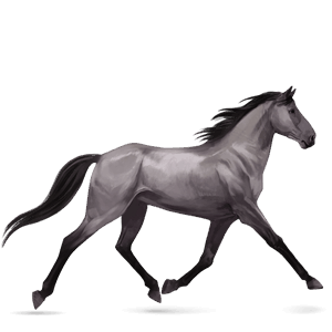 jezdecký kůň anglický plnokrevník vraník