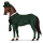 jezdecký kůň inspektor lestrade zbarvení