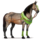 poník les