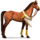 jezdecký kůň poušť