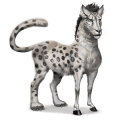 divoký kůň sněžný leopard