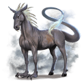 jezdecký kůň anglický plnokrevník hnědý bělouš