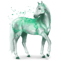 vzácný kůň smaragd