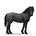 prehistorický kůň lesní kůň