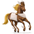 jezdecký kůň quarter horse smíšený bělouš