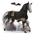 jezdecký kůň francouzský klusák Černý hnědák
