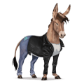 jezdecký jednorožec hnědák