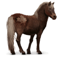 divoký kůň sable island pony