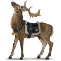 božský kůň prancer