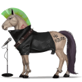 toulavý kůň punk rock