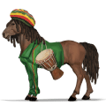 jezdecký kůň irský tinker hnědák tobiano