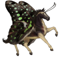 jezdecký kůň játrový ryzák