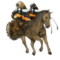 jezdecký kůň trakénský kůň hnědák