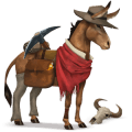 poník haflinger světlý ryzák