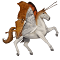 jezdecký kůň lipicán bělouš