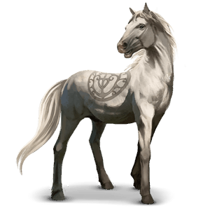 divoký kůň camargský pony