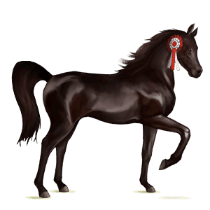 jezdecký kůň mustang palomino