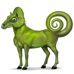 divoký kůň chameleon
