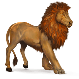 divoký kůň africký lev