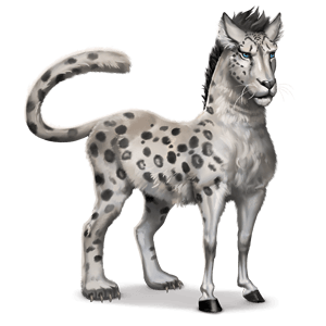 divoký kůň sněžný leopard