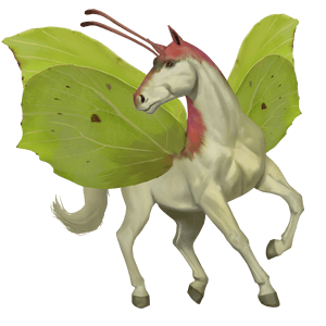 jezdecký kůň achaltekinský kůň cremello