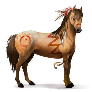 jezdecký kůň american paint horse hnědák tobiano