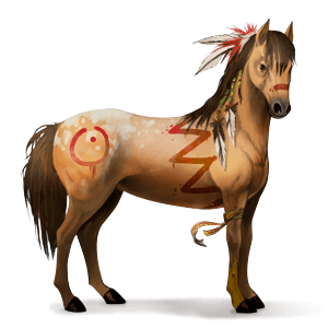 jezdecký kůň curly palomino tobiano