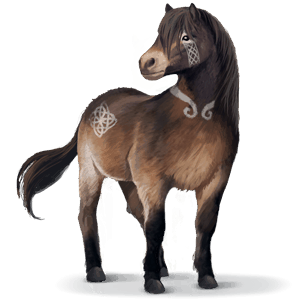 divoký kůň exmoorský pony