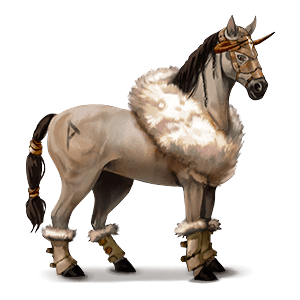 jezdecký kůň appaloosa sorrel leopard