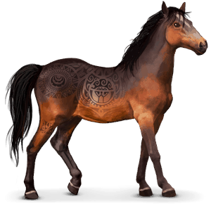 divoký kůň kaimanawa