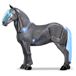 jezdecký kůň irský tinker palomino